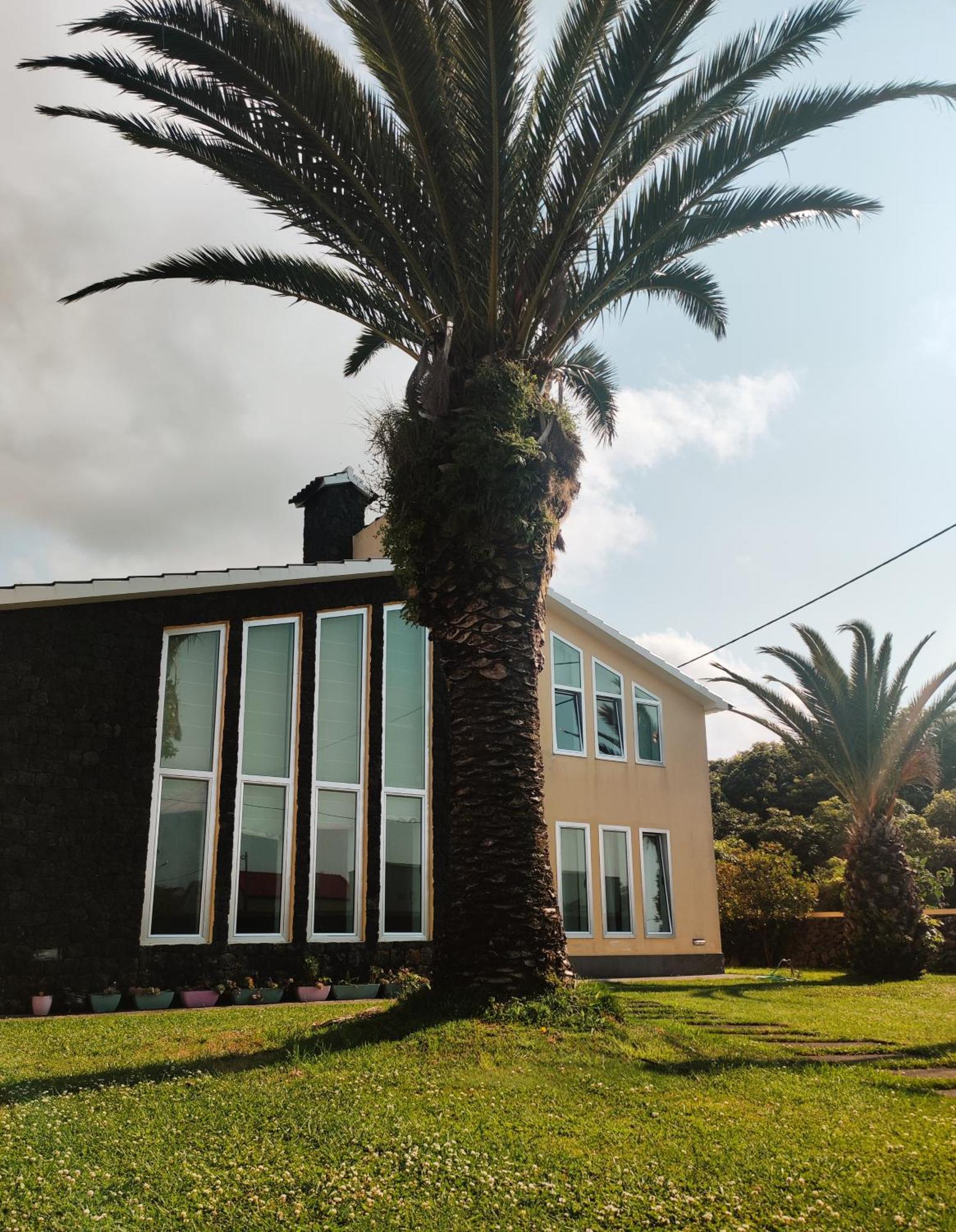 Palmtree 37 Al Lejlighed Praia da Vitória Eksteriør billede