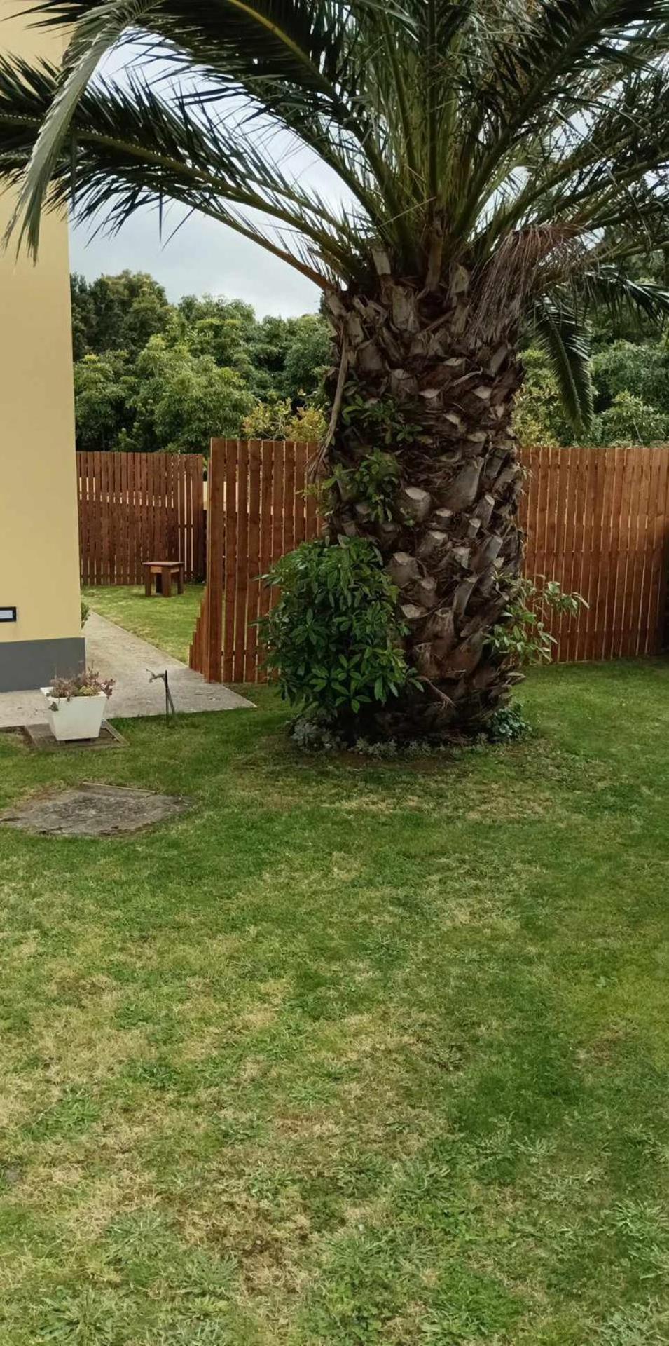 Palmtree 37 Al Lejlighed Praia da Vitória Værelse billede